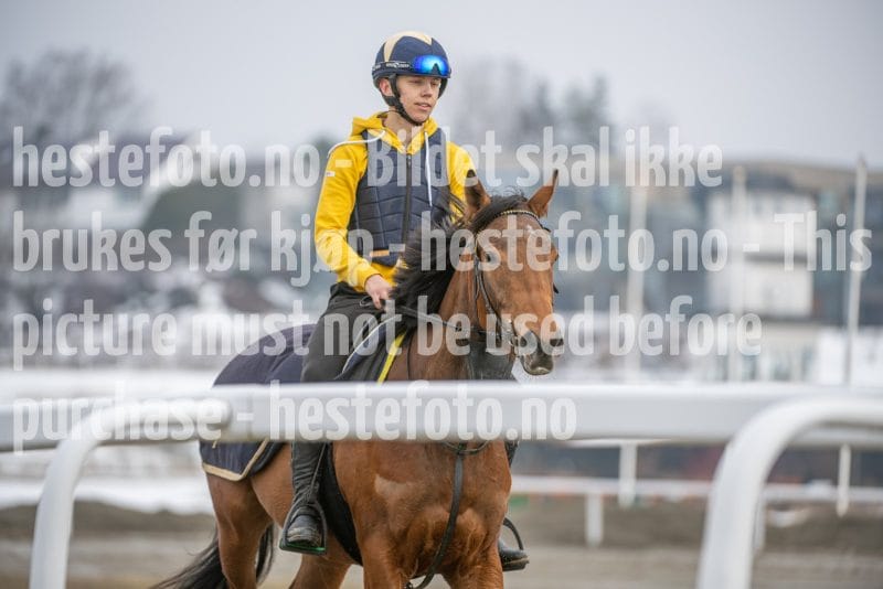 20260307-133229-DSC_7604