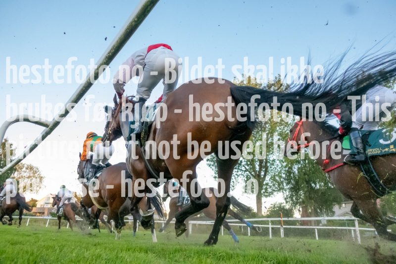 20220901-200049-DSC00403