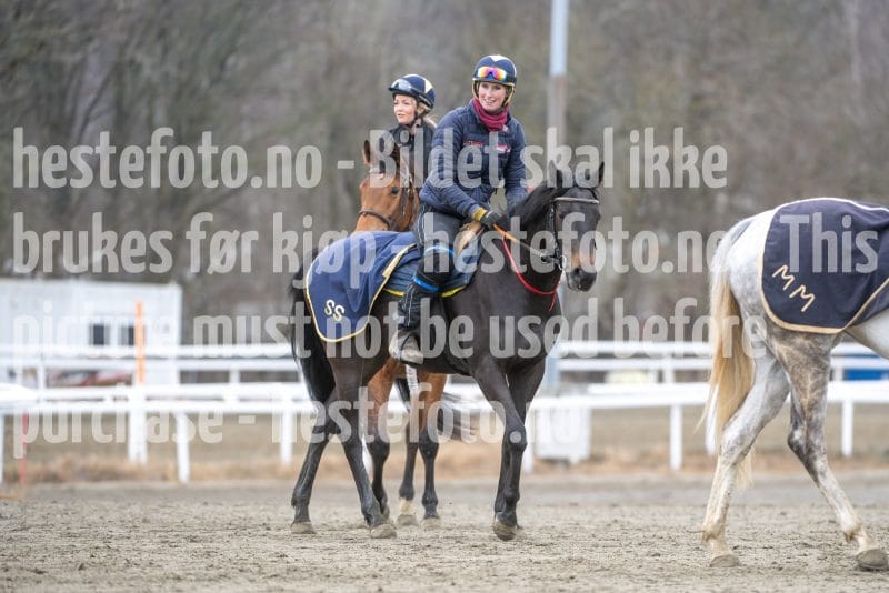 20260321-103908-DSC_0689