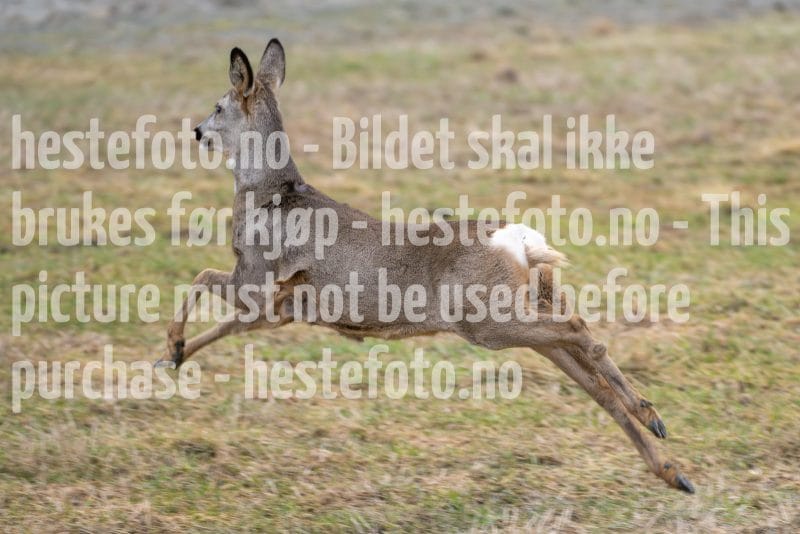 20260321-103913-DSC_0720