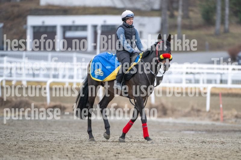 20260321-111539-DSC_0984