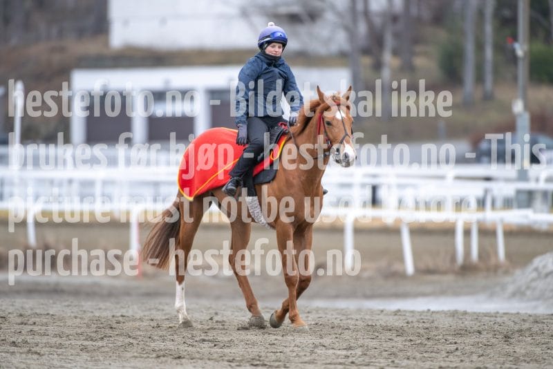 20260321-111633-DSC_1016