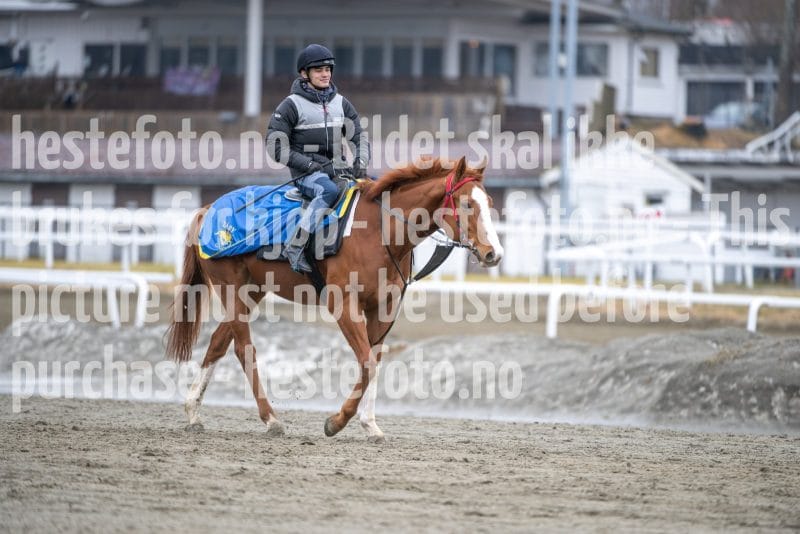 20260321-111535-DSC_0968