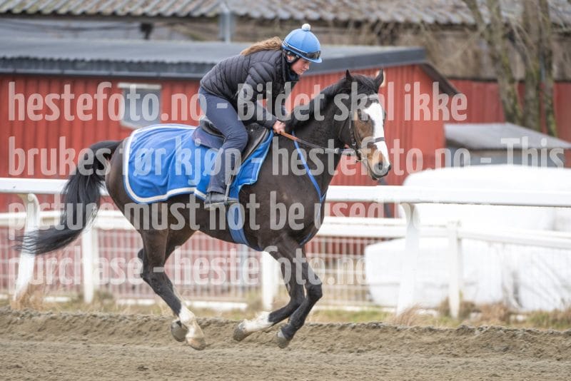 20260321-111939-DSC_1219