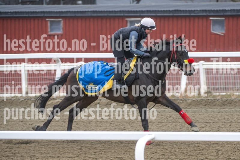 20260321-112233-DSC_1508