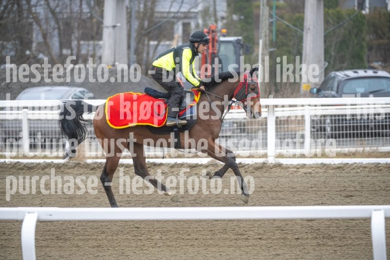 20260321-112157-DSC_1435