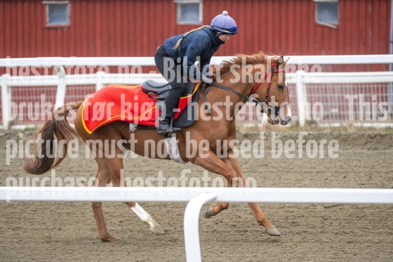 20260321-112400-DSC_1679