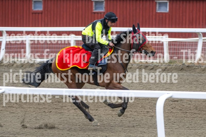 20260321-112411-DSC_1758