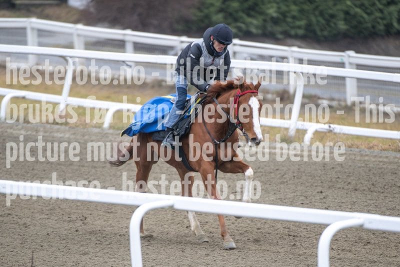 20260321-112533-DSC_1836