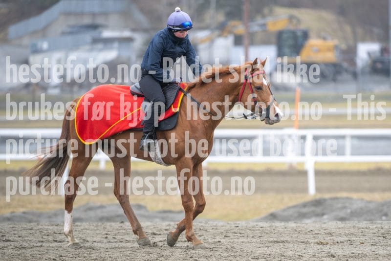 20260321-112938-DSC_1993