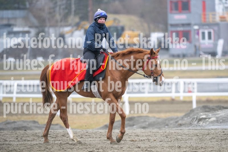 20260321-112939-DSC_1995