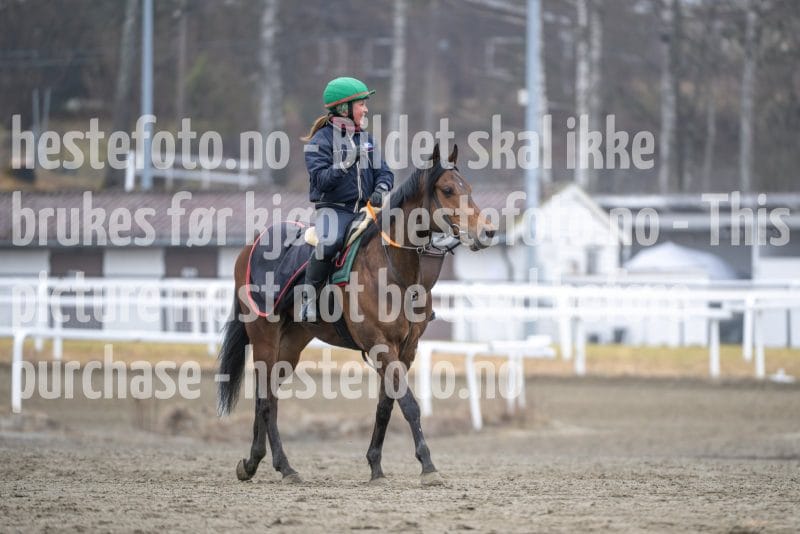 20260321-113358-DSC_2218