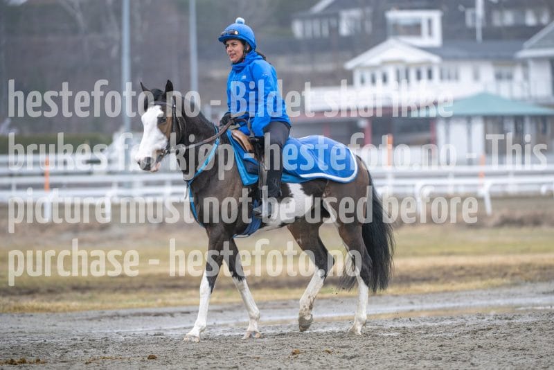 20260321-113426-DSC_2256