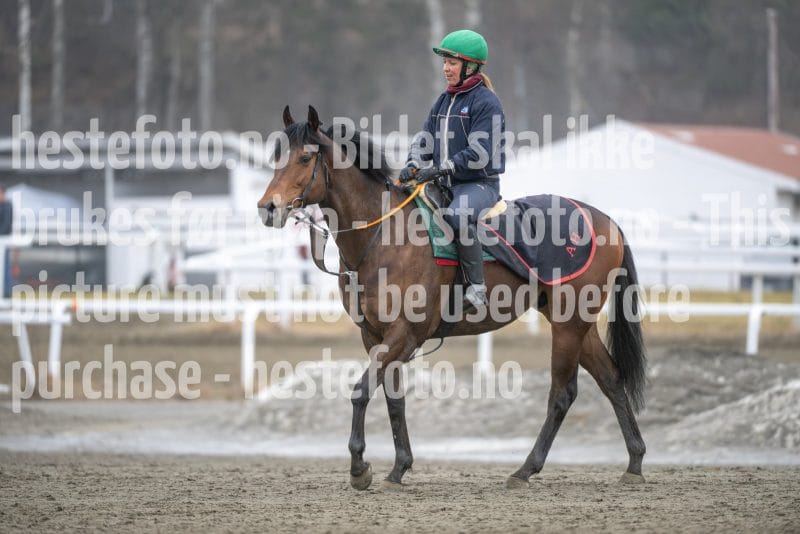 20260321-113549-DSC_2338