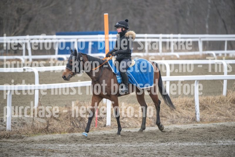 20260321-113634-DSC_2426