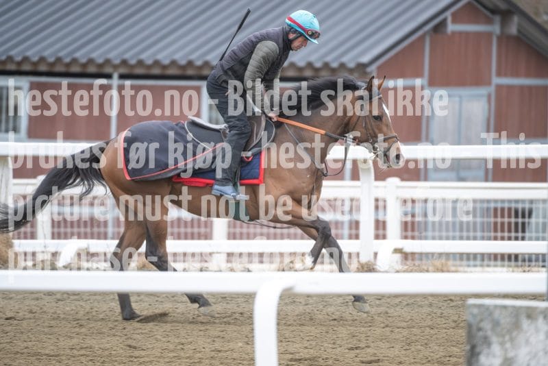 20260321-113741-DSC_2608