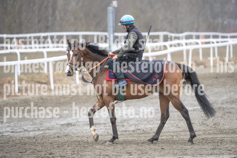 20260321-114145-DSC_2773