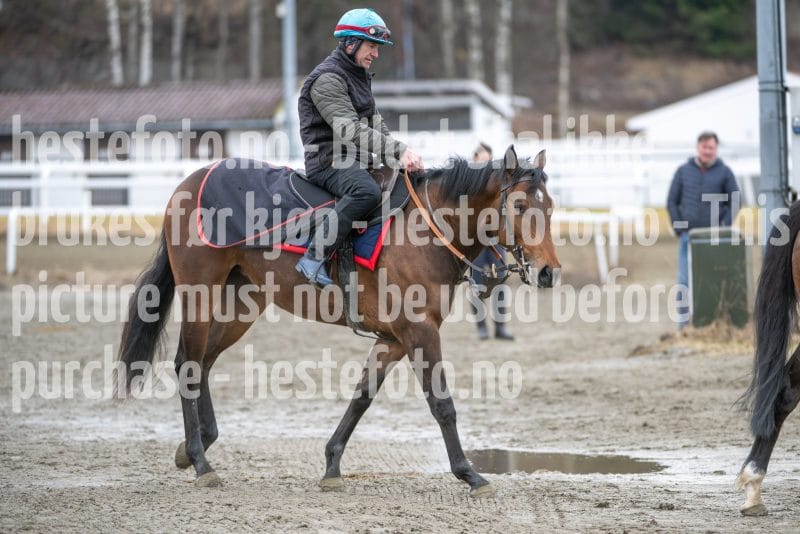 20260321-123320-DSC_2798