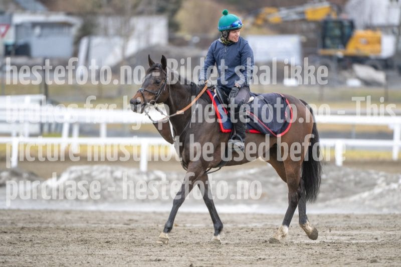 20260321-123347-DSC_2821