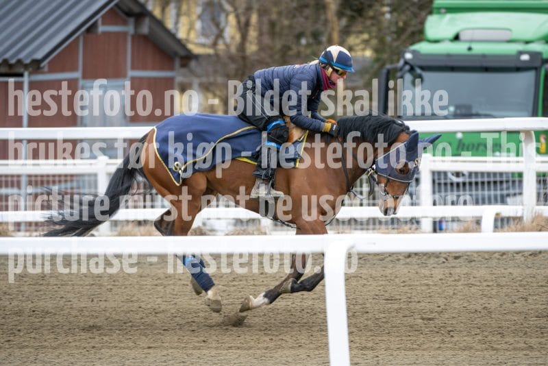 20260321-124110-DSC_3218