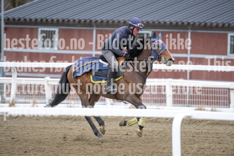 20260321-124237-DSC_3258