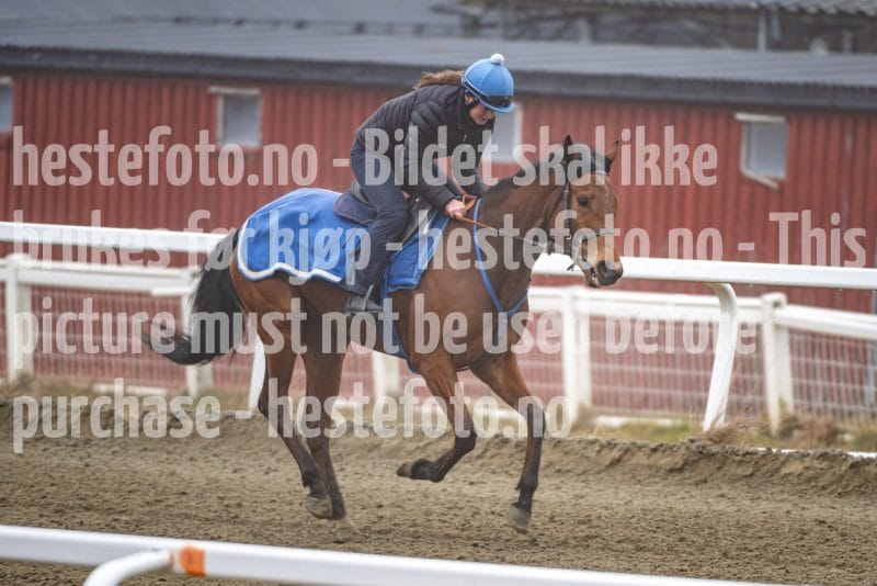 20260321-092622-DSC_7641