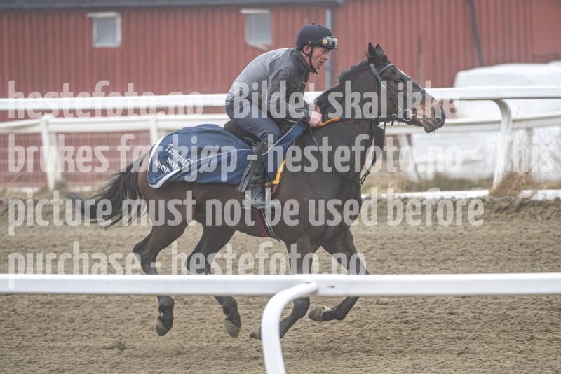 20260321-092627-DSC_7668