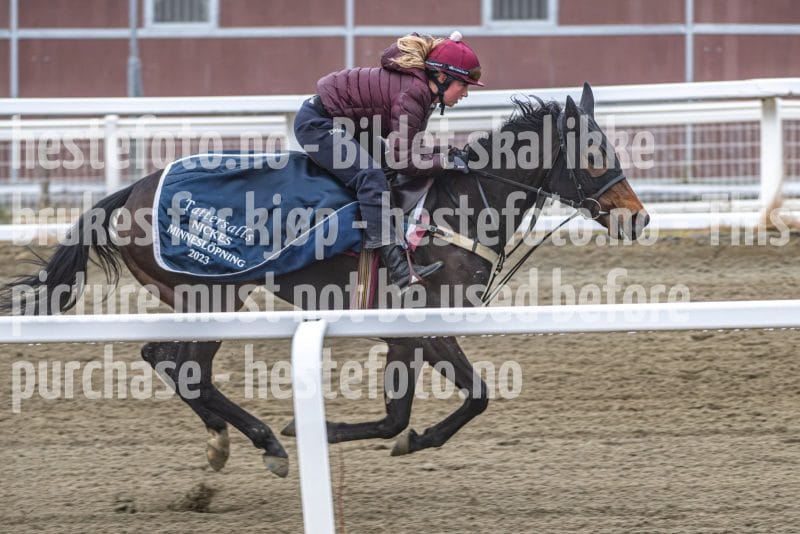 20260321-092636-DSC_7755