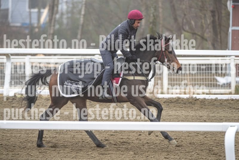 20260321-092712-DSC_7842