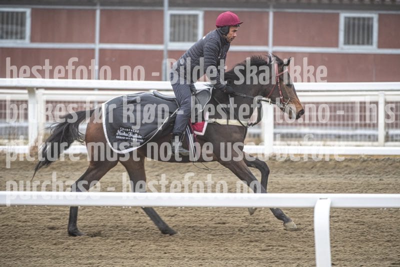 20260321-092712-DSC_7852