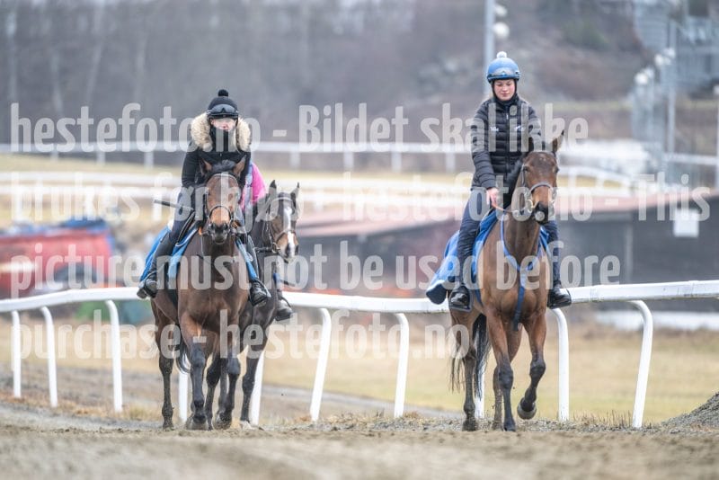 20260321-101144-DSC_8078