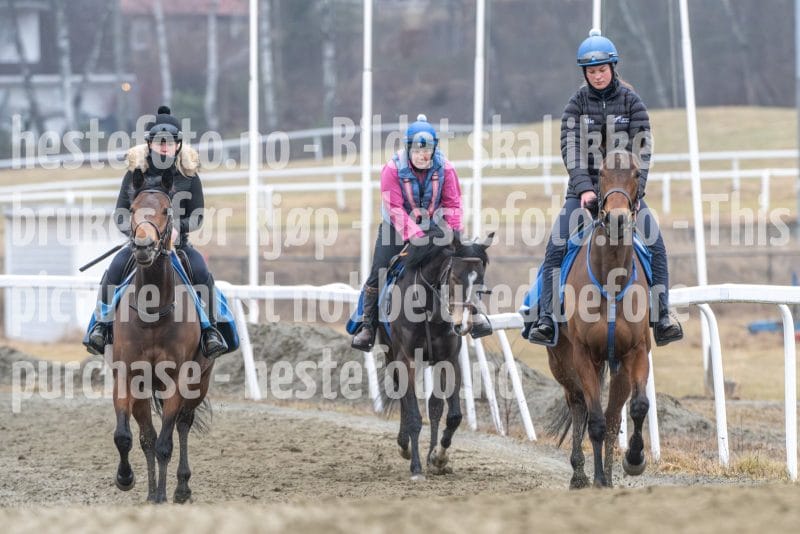 20260321-101254-DSC_8195