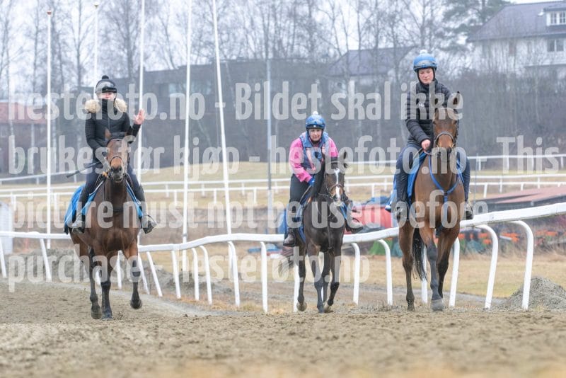 20260321-101300-DSC_8224