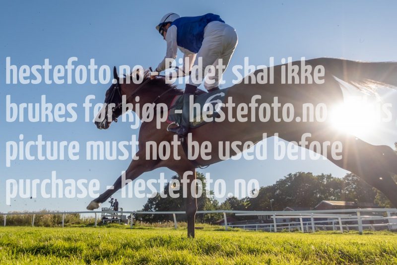 20220901-175644-DSC09743