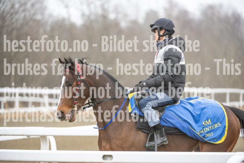 20260321-101541-DSC_8286