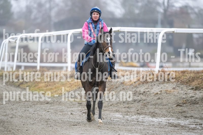 20260321-101649-DSC_8313