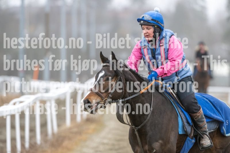 20260321-101701-DSC_8360