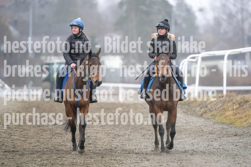 20260321-101729-DSC_8474