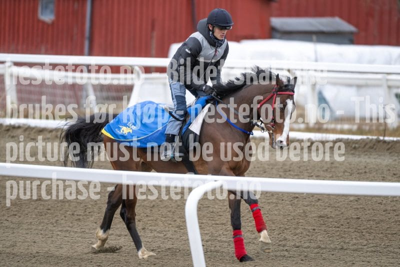 20260321-101853-DSC_8550