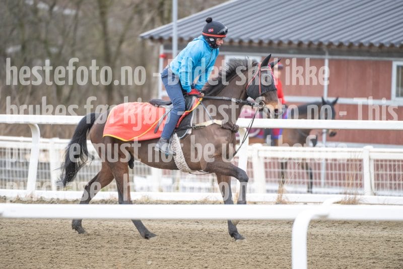 20260321-101812-DSC_8518