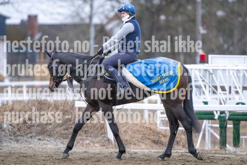 20260321-101924-DSC_8590