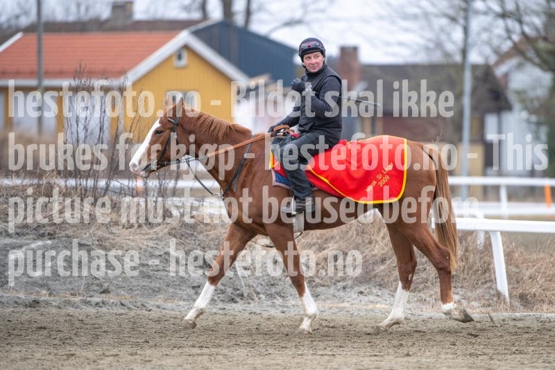 20260321-101928-DSC_8626