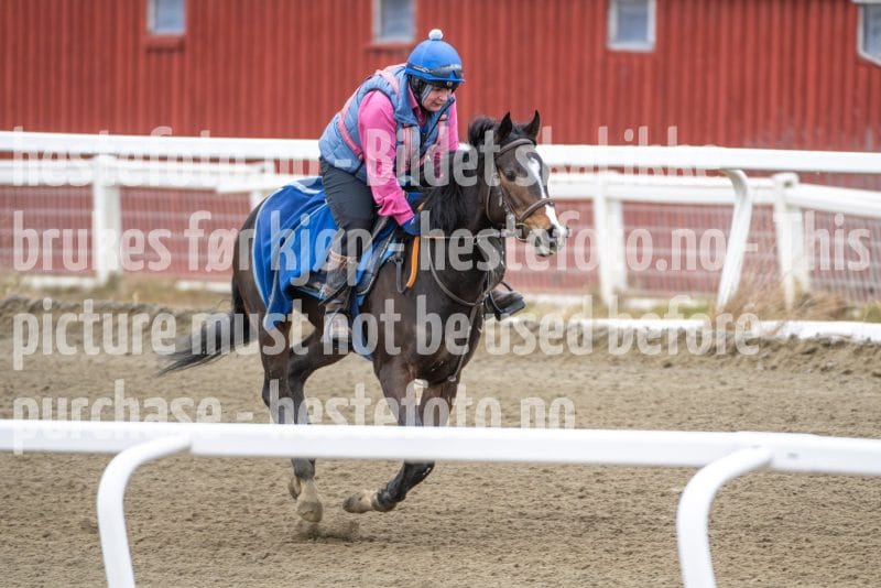 20260321-102010-DSC_8769