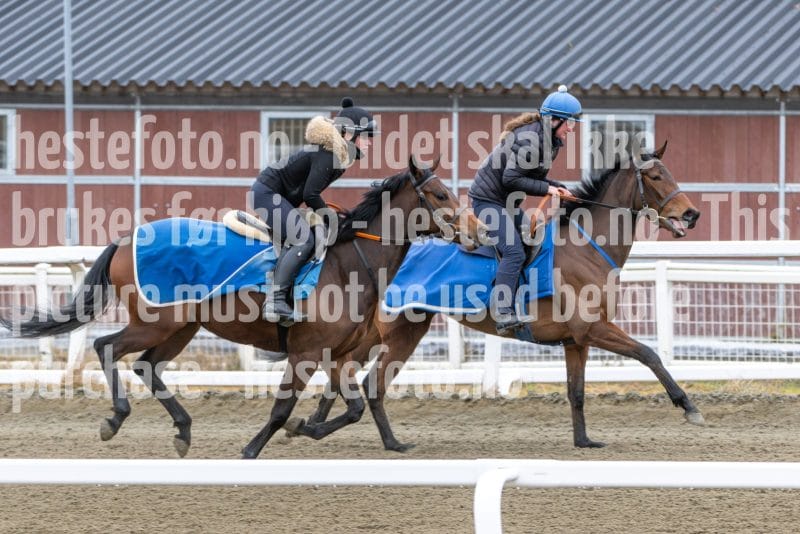 20260321-102136-DSC_8894