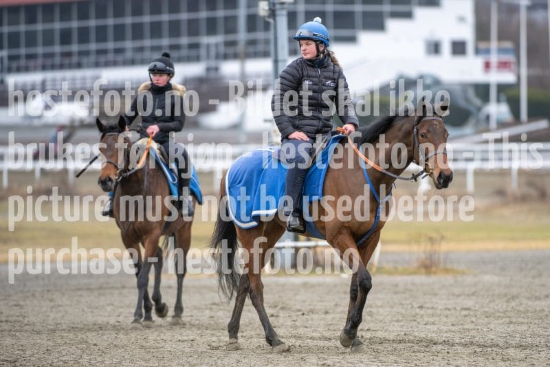 20260321-102504-DSC_9330