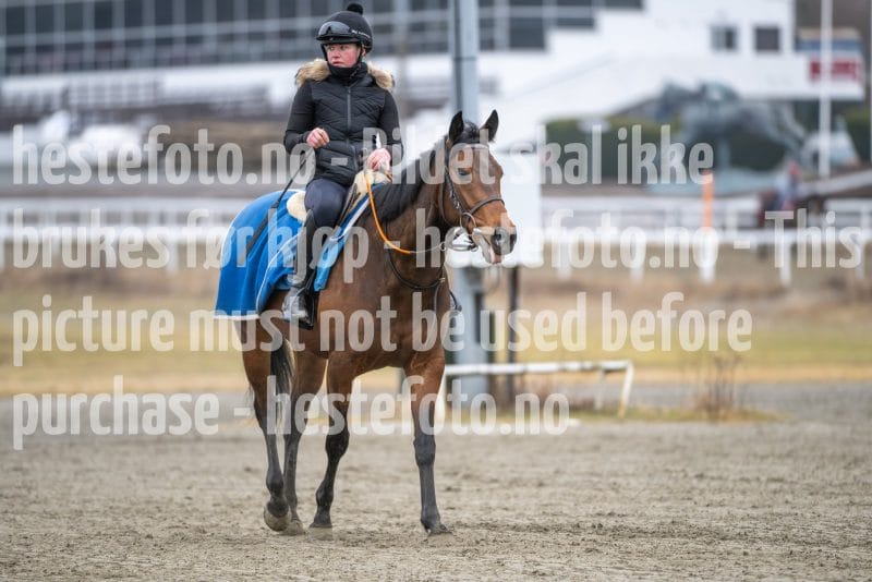 20260321-102509-DSC_9337