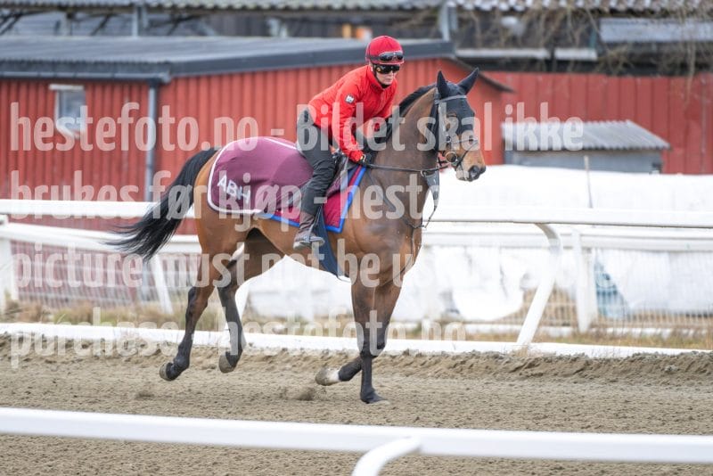 20260321-102516-DSC_9350