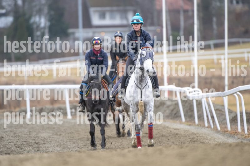 20260321-102843-DSC_9560