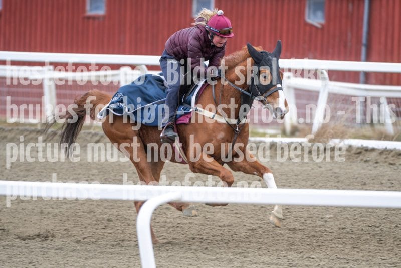 20260321-103137-DSC_9853