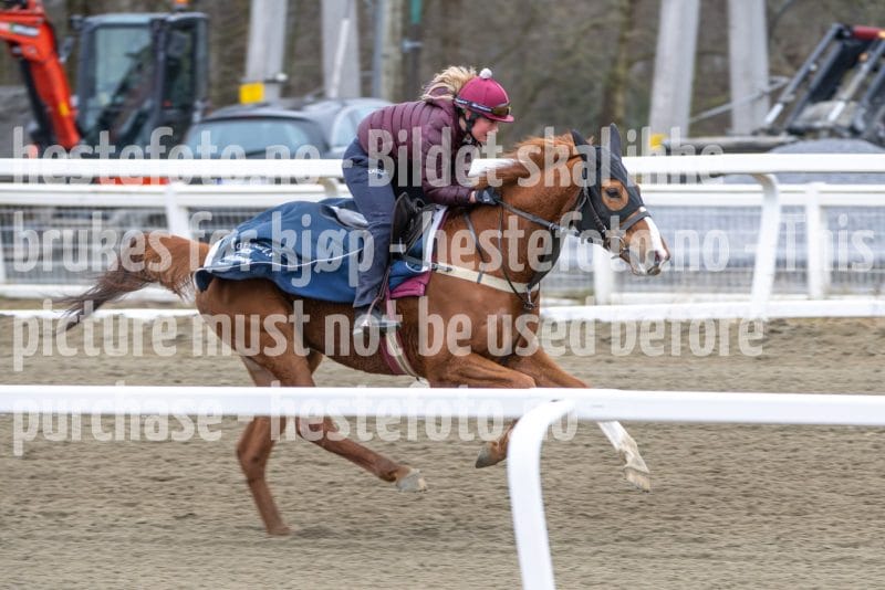 20260321-103138-DSC_9871